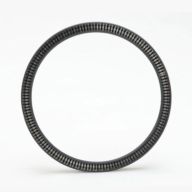 Rod Spring Energized Seals